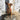Zwergpinscher mit Neon-Pinkem Halsband