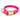 Hundehalsband mit goldener Steckschnalle